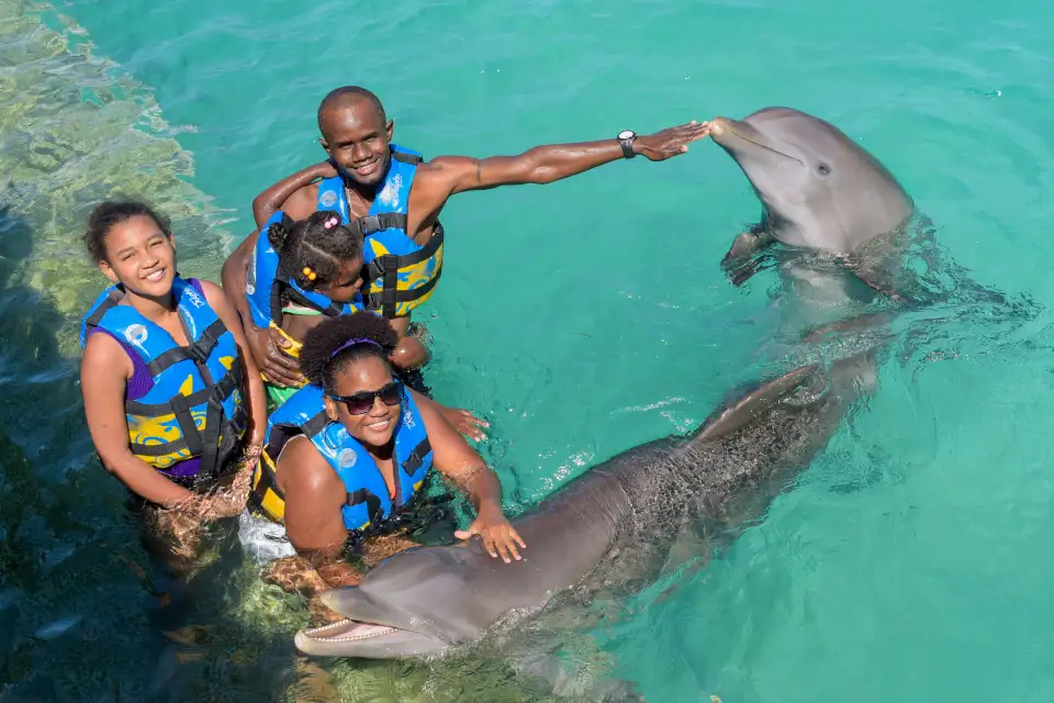 nado-con-delfines-en-punta-cana-1