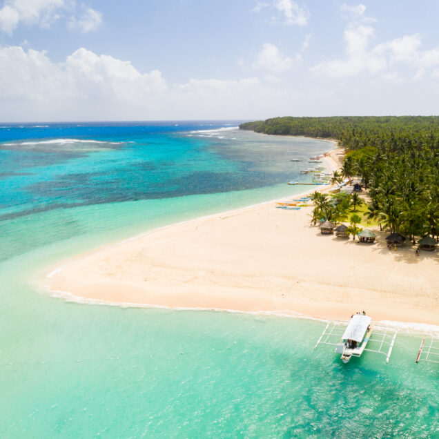 Excursión a Isla Catalina