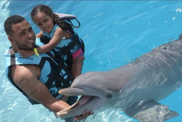 Nado e Interacción con Delfines – Conexión Mágica en el Caribe